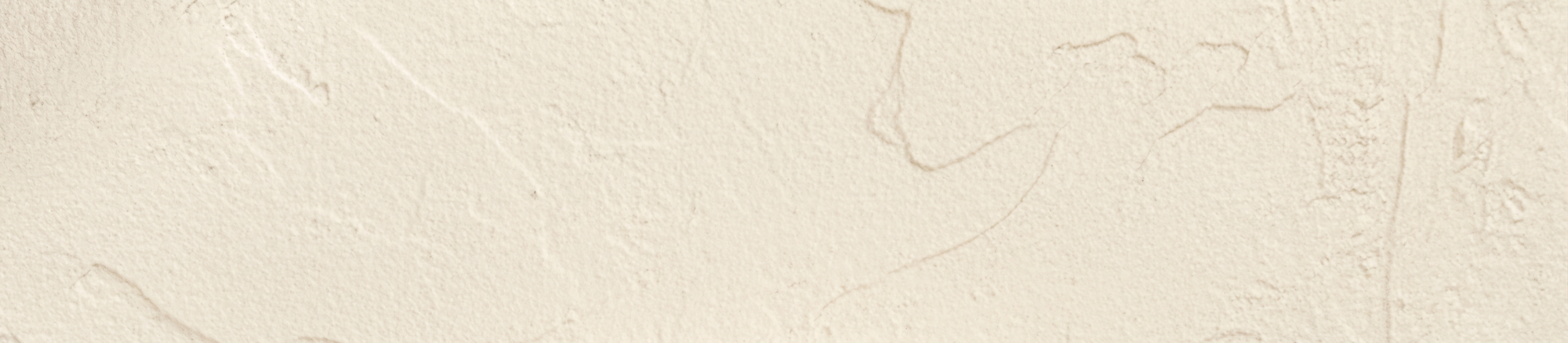 Header Background