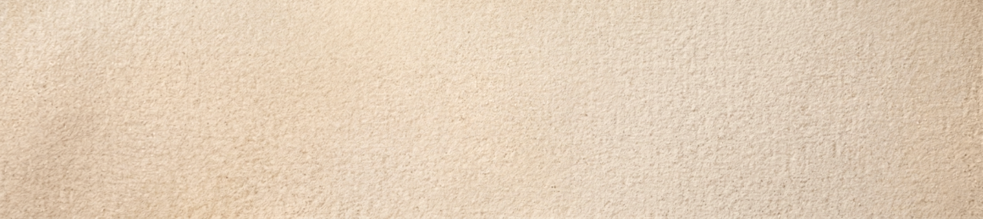 Header Background